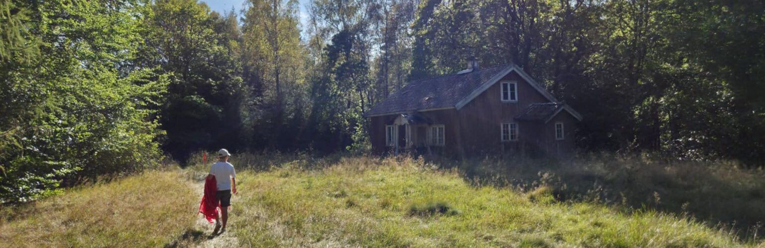 Ck4KTFNuYXBjaGF0LzEzLjYwLjAuNTcgKFNNLUE1MzZCOyBBbmRyb2lkIDEyI0E1MzZCWFhVNEFWSDkjMzE7IGd6aXApIFYvTVVTSFJPT00=