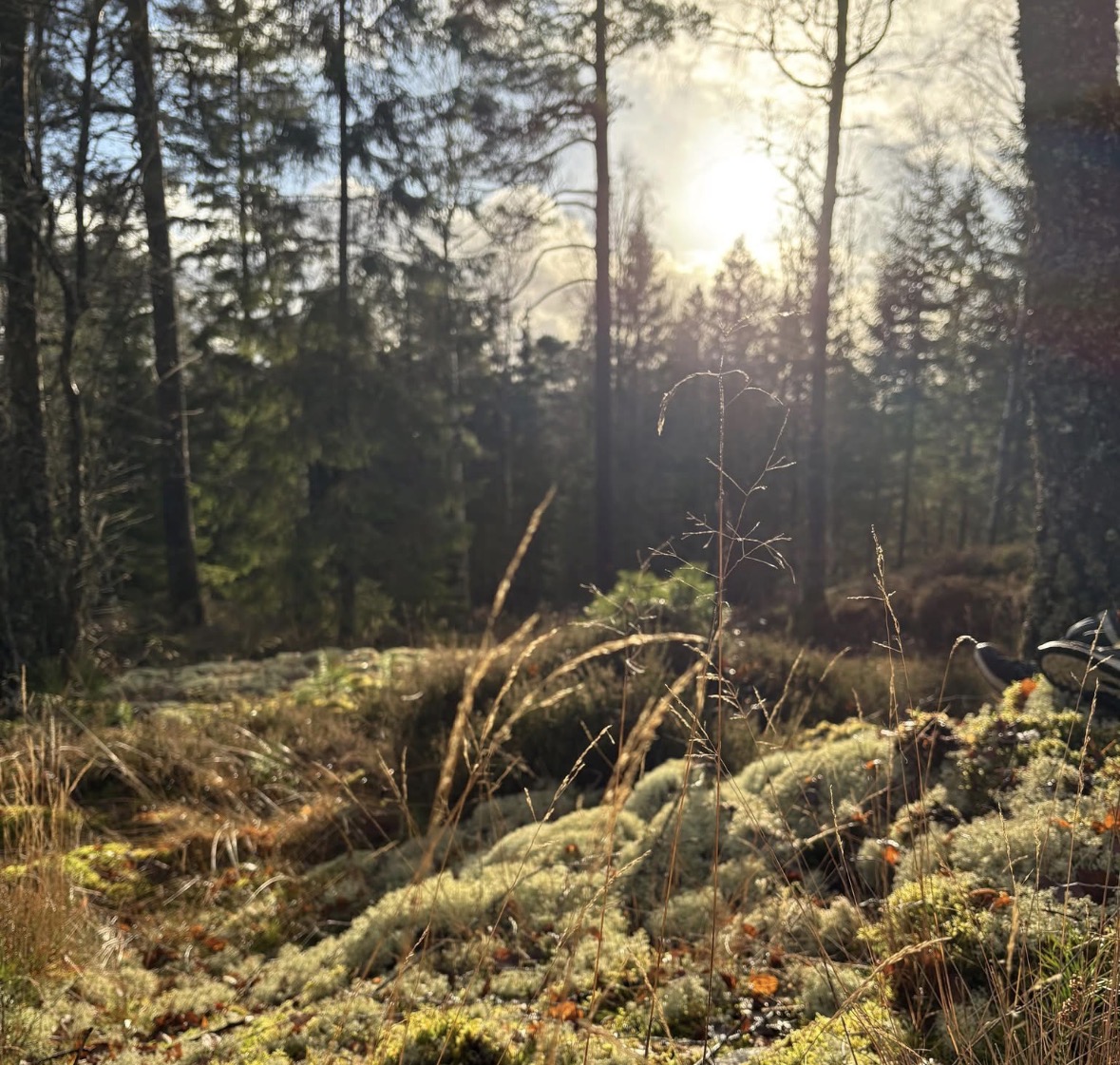 Höstnytt!